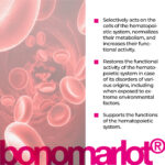 Bonomarlot - Image 2