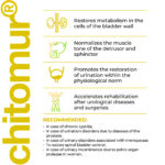 Chitomur - Image 3