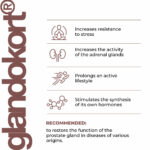 Glandokort - Image 3