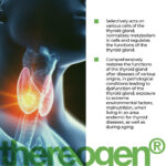 Thyreogen - Image 2