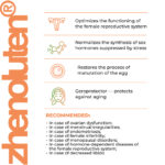 Zhenoluten - Image 3