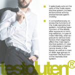 Testoluten lingual - Image 2