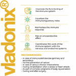 Vladonix lingual - Image 3